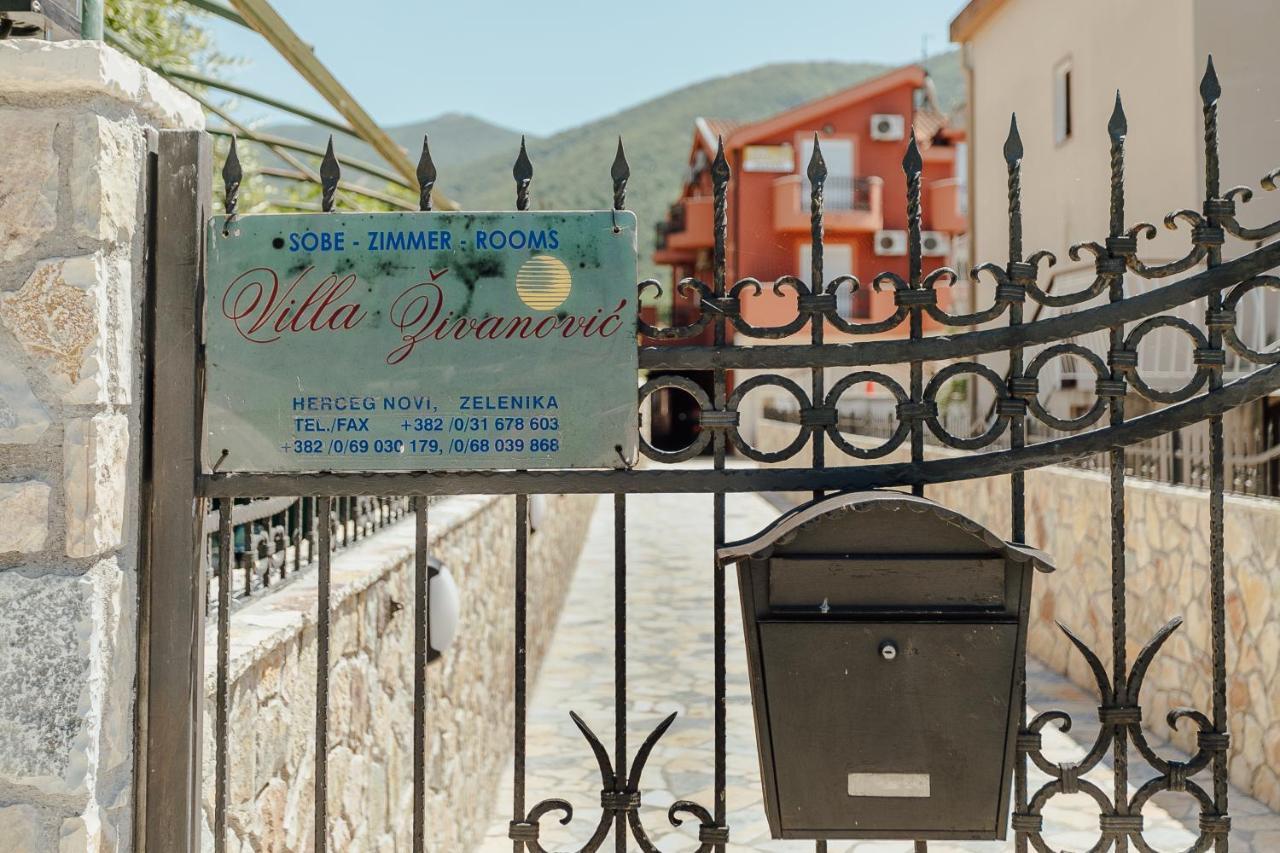 Guest House Villa Zivanovic 赫尔采格诺维 外观 照片