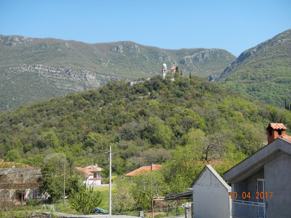 Guest House Villa Zivanovic 赫尔采格诺维 外观 照片